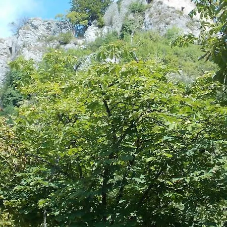 D'hotes Le Felseneck