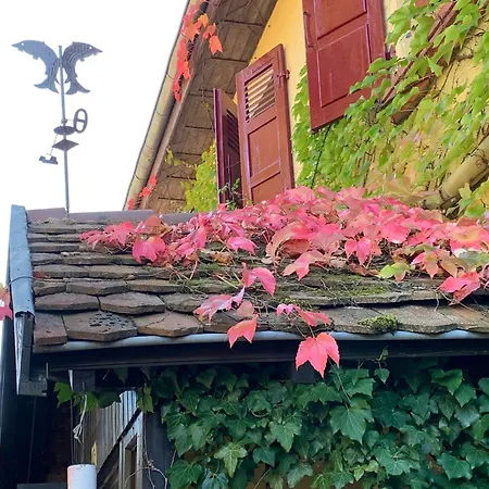 Bed & Breakfast D'hotes Le Felseneck