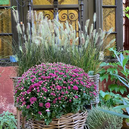 D'hotes Le Felseneck Ferrette