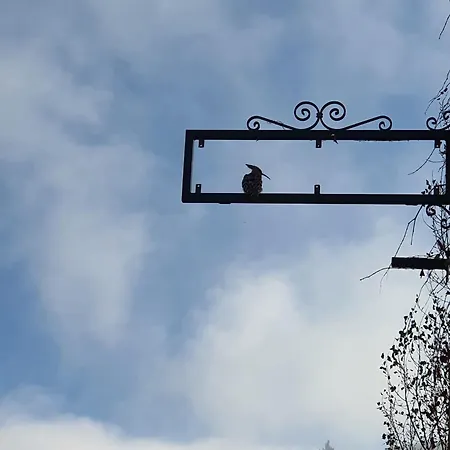 D'hotes Le Felseneck Bed & Breakfast